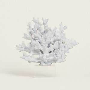 Beauty Home ΚΟΡΑΛΙ ΛΕΥΚΟ  ΜΕ ΒΑΣΗ PLEXI GLASS 24 x 24 cm